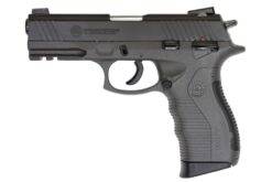 Taurus PT 809